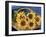 Sunflower Basket-Cheryl Bartley-Framed Giclee Print