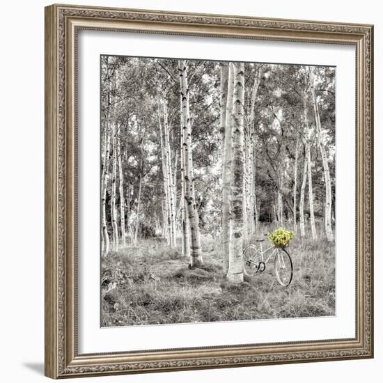 Sunflower Bicycle Ride-Alan Blaustein-Framed Photographic Print