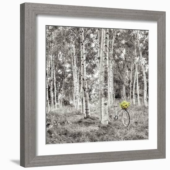 Sunflower Bicycle Ride-Alan Blaustein-Framed Photographic Print