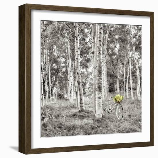 Sunflower Bicycle Ride-Alan Blaustein-Framed Photographic Print