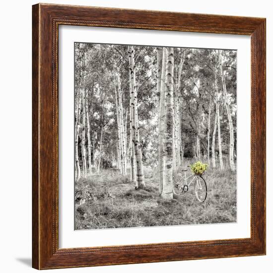 Sunflower Bicycle Ride-Alan Blaustein-Framed Photographic Print