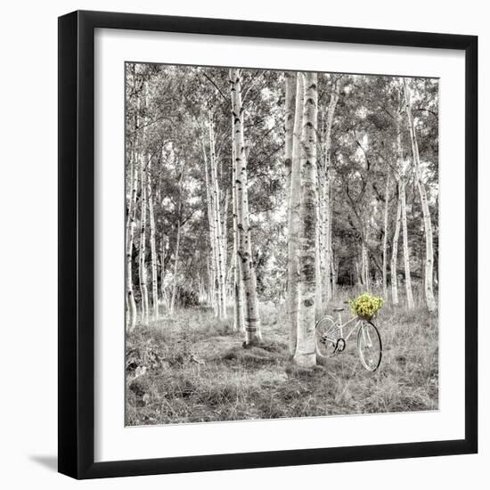 Sunflower Bicycle Ride-Alan Blaustein-Framed Photographic Print