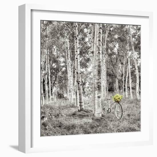 Sunflower Bicycle Ride-Alan Blaustein-Framed Photographic Print