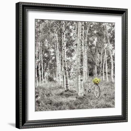 Sunflower Bicycle Ride-Alan Blaustein-Framed Photographic Print