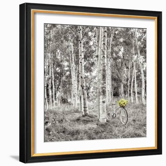 Sunflower Bicycle Ride-Alan Blaustein-Framed Photographic Print