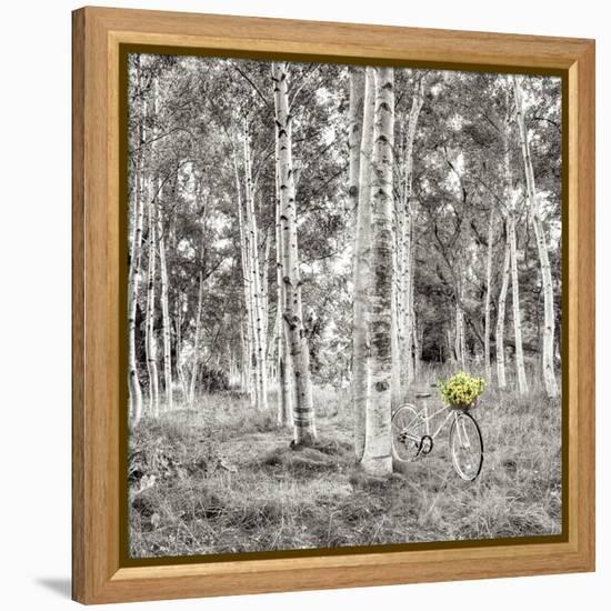 Sunflower Bicycle Ride-Alan Blaustein-Framed Stretched Canvas