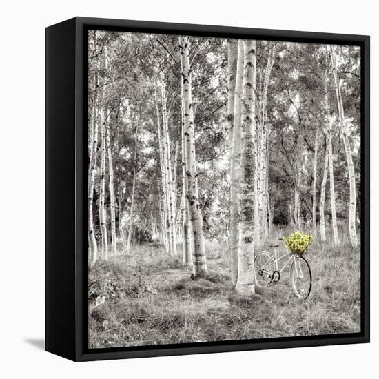 Sunflower Bicycle Ride-Alan Blaustein-Framed Stretched Canvas