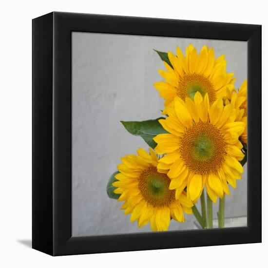 Sunflower Bouquet-Nicole Katano-Framed Stretched Canvas