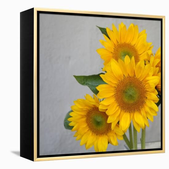 Sunflower Bouquet-Nicole Katano-Framed Stretched Canvas