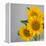 Sunflower Bouquet-Nicole Katano-Framed Stretched Canvas