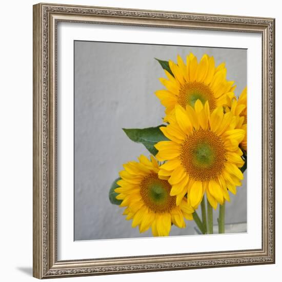 Sunflower Bouquet-Nicole Katano-Framed Photo