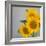 Sunflower Bouquet-Nicole Katano-Framed Photo