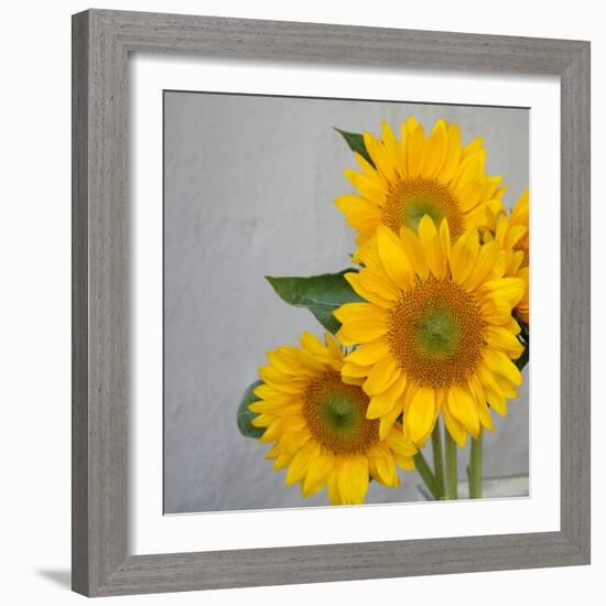 Sunflower Bouquet-Nicole Katano-Framed Photo