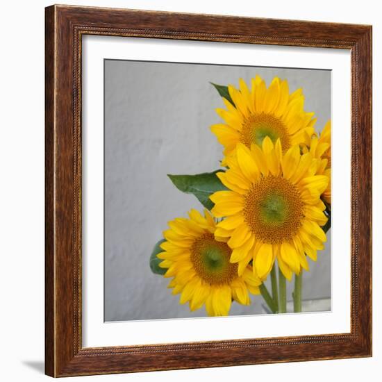 Sunflower Bouquet-Nicole Katano-Framed Photo