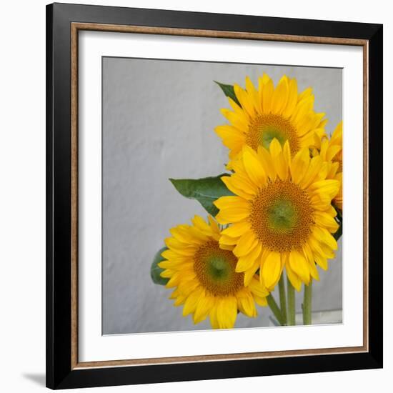 Sunflower Bouquet-Nicole Katano-Framed Photo