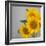 Sunflower Bouquet-Nicole Katano-Framed Photo