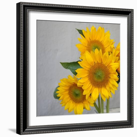 Sunflower Bouquet-Nicole Katano-Framed Photo