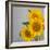 Sunflower Bouquet-Nicole Katano-Framed Photo