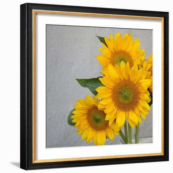 Sunflower Bouquet-Nicole Katano-Framed Photo