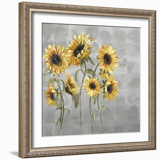 Sunflower Burst-Mark Chandon-Framed Giclee Print