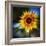 Sunflower by the Road-Ursula Abresch-Framed Photographic Print