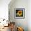 Sunflower by the Road-Ursula Abresch-Framed Photographic Print displayed on a wall