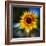 Sunflower by the Road-Ursula Abresch-Framed Photographic Print