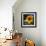 Sunflower by the Road-Ursula Abresch-Framed Photographic Print displayed on a wall