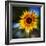 Sunflower by the Road-Ursula Abresch-Framed Photographic Print