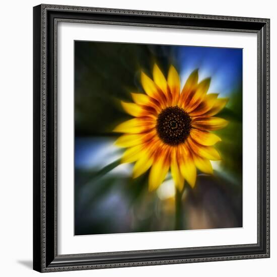 Sunflower by the Road-Ursula Abresch-Framed Photographic Print