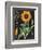 Sunflower Chart-Sue Schlabach-Framed Art Print