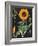 Sunflower Chart-Sue Schlabach-Framed Art Print