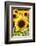 Sunflower Close Up in a Field of Sunflowers-George Oze-Framed Photographic Print