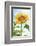 Sunflower, Community Garden, Moses Lake, Wa, USA-Stuart Westmorland-Framed Photographic Print