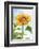 Sunflower, Community Garden, Moses Lake, Wa, USA-Stuart Westmorland-Framed Photographic Print