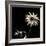 Sunflower Copy-Lori Hutchison-Framed Photographic Print