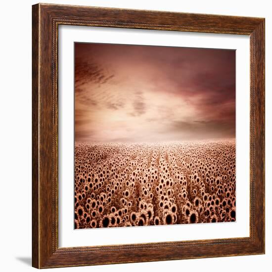 Sunflower Dawn-Luis Beltran-Framed Photographic Print