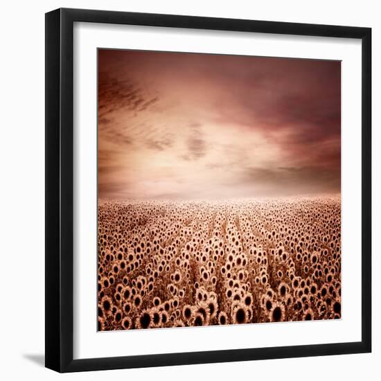 Sunflower Dawn-Luis Beltran-Framed Photographic Print