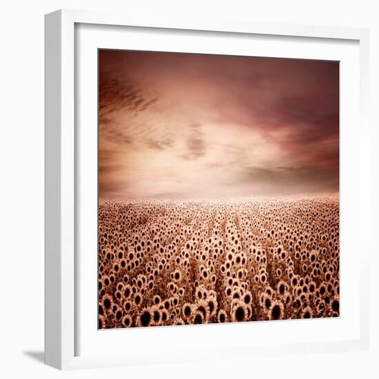 Sunflower Dawn-Luis Beltran-Framed Photographic Print