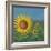 Sunflower Field I-David Swanagin-Framed Art Print