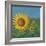 Sunflower Field I-David Swanagin-Framed Art Print