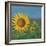 Sunflower Field I-David Swanagin-Framed Art Print