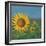 Sunflower Field I-David Swanagin-Framed Art Print