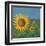 Sunflower Field I-David Swanagin-Framed Art Print