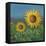 Sunflower Field II-David Swanagin-Framed Stretched Canvas