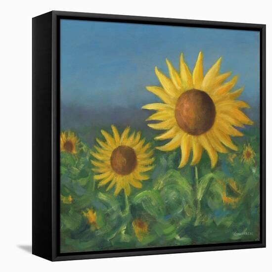 Sunflower Field II-David Swanagin-Framed Stretched Canvas