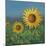 Sunflower Field II-David Swanagin-Mounted Art Print