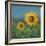 Sunflower Field II-David Swanagin-Framed Art Print