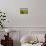 Sunflower Field Near Cordoba, Andalusia, Spain, Europe-Hans Peter Merten-Photographic Print displayed on a wall