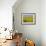 Sunflower Field Near Cordoba, Andalusia, Spain, Europe-Hans Peter Merten-Framed Photographic Print displayed on a wall